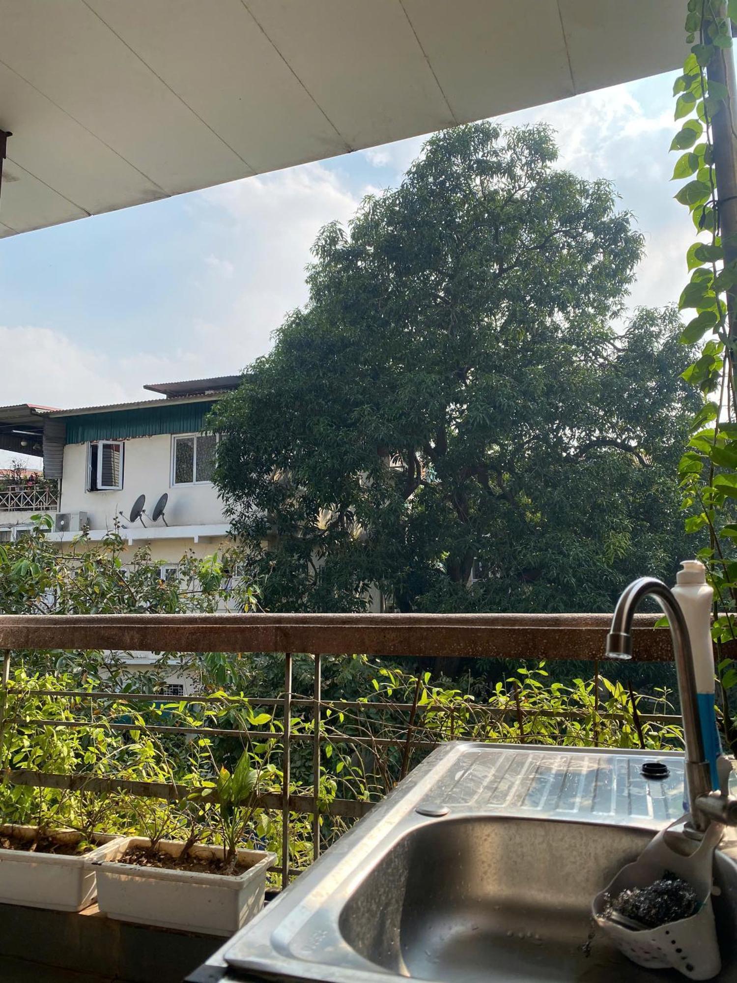 Hanoi New Comb Hostel Bagian luar foto